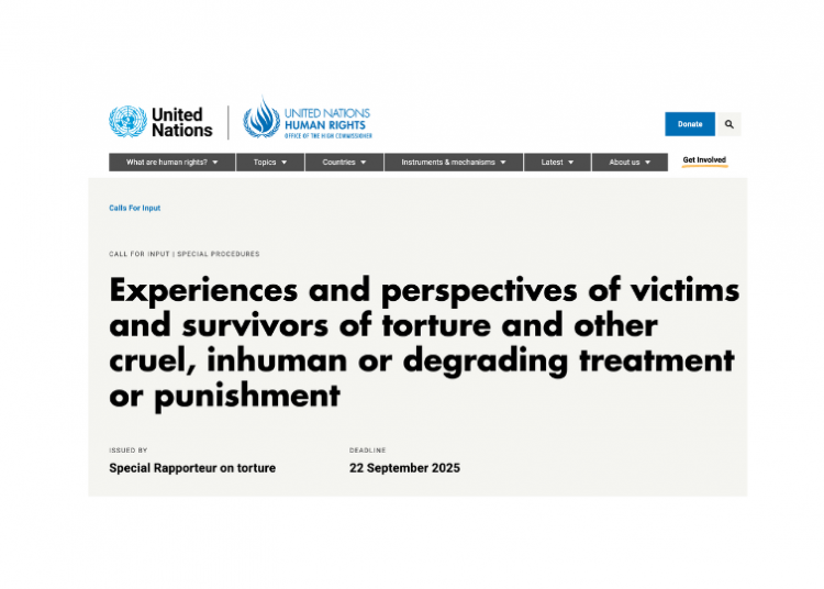 Speaking Out: My Testimony to the United Nations on Psychiatric Harm